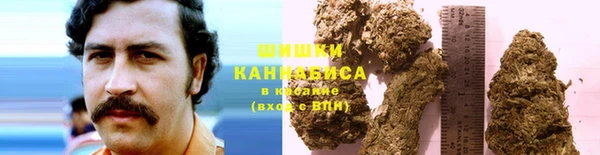 молекула духа Балабаново