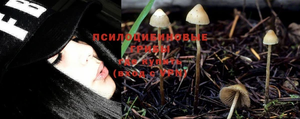 молекула духа Балабаново